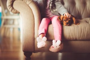 Pets in Divorce – Don’t Forget about Rover
